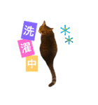 石の上にも3年寝タロー2（個別スタンプ：4）