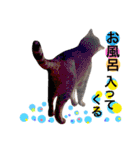 石の上にも3年寝タロー2（個別スタンプ：5）