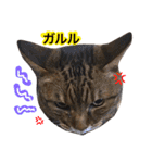 石の上にも3年寝タロー2（個別スタンプ：19）
