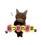 石の上にも3年寝タロー2（個別スタンプ：20）