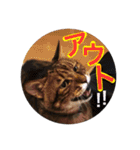 石の上にも3年寝タロー2（個別スタンプ：24）