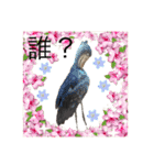Milky,Luna,Hima..my pets.（個別スタンプ：16）