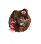 Happy New Year chow chow（個別スタンプ：5）