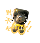 Happy New Year chow chow（個別スタンプ：18）