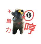 Happy New Year chow chow（個別スタンプ：24）