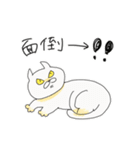 丸いすこねこ（個別スタンプ：7）