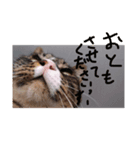 うちのしゅうくん2（個別スタンプ：5）