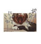 うちのしゅうくん2（個別スタンプ：7）