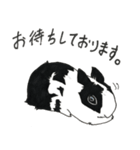 rabbit mel（個別スタンプ：7）