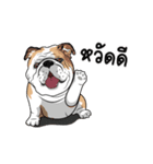 COCO Bulldog（個別スタンプ：1）