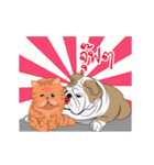 COCO Bulldog（個別スタンプ：6）