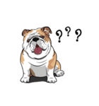 COCO Bulldog（個別スタンプ：8）