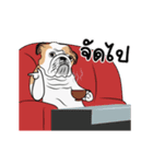 COCO Bulldog（個別スタンプ：12）