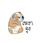 COCO Bulldog（個別スタンプ：16）