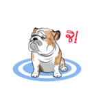 COCO Bulldog（個別スタンプ：22）