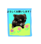 癒され動物（個別スタンプ：8）