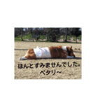 bootarousan（個別スタンプ：6）