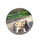 bootarousan（個別スタンプ：7）