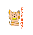 ねこてつ（個別スタンプ：3）