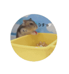 ハムちゃん スタンプ（個別スタンプ：4）