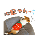 子犬のはな2～いろいろ編～（個別スタンプ：29）