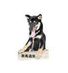 black shiba - halen dog（個別スタンプ：16）