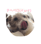 ジャックの日常生活（個別スタンプ：1）