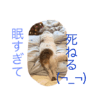 ジャックの日常生活（個別スタンプ：5）