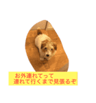 ジャックの日常生活（個別スタンプ：8）