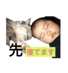 赤ちゃんと時々猫たち（個別スタンプ：34）