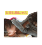 鈴木軍（個別スタンプ：1）
