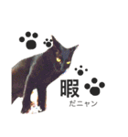 鈴木軍（個別スタンプ：7）