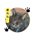 鈴木軍（個別スタンプ：13）