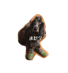 E.Cocker Spaniel HERB LIFE（個別スタンプ：6）