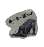 E.Cocker Spaniel HERB LIFE（個別スタンプ：9）