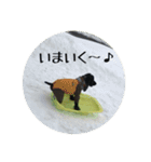 E.Cocker Spaniel HERB LIFE（個別スタンプ：11）