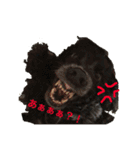 E.Cocker Spaniel HERB LIFE（個別スタンプ：13）