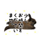 丁寧に生きる敬語うさぎと可愛いハムスター（個別スタンプ：8）