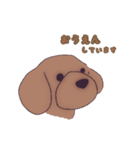 シンプルなトイプードル -日本語-（個別スタンプ：5）