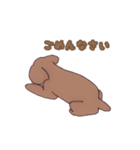 シンプルなトイプードル -日本語-（個別スタンプ：19）