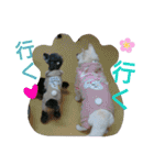 *...see.sey.hime...*（個別スタンプ：27）