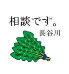 長谷川のビジネスほうれん草（個別スタンプ：3）