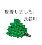 長谷川のビジネスほうれん草（個別スタンプ：4）