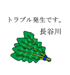 長谷川のビジネスほうれん草（個別スタンプ：15）