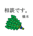 橋本のビジネスほうれん草（個別スタンプ：3）