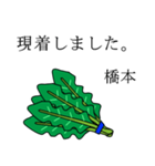 橋本のビジネスほうれん草（個別スタンプ：4）