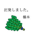 橋本のビジネスほうれん草（個別スタンプ：5）