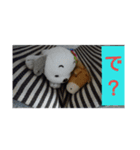 Neko！！！！！！！！！（個別スタンプ：7）