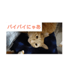 Neko！！！！！！！！！（個別スタンプ：9）