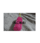Neko！！！！！！！！！（個別スタンプ：13）